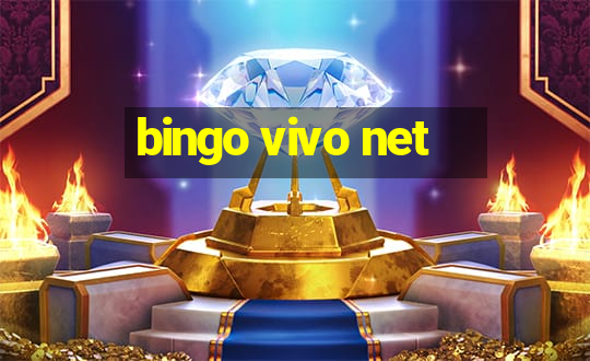 bingo vivo net