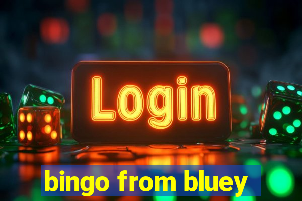 bingo from bluey