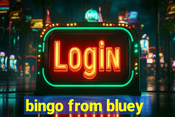 bingo from bluey