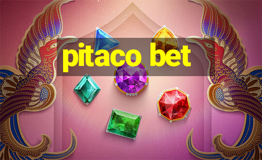 pitaco bet