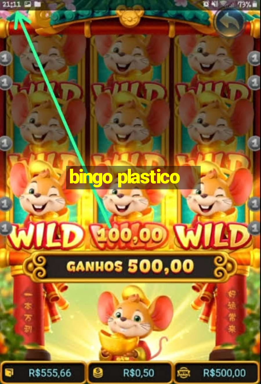 bingo plastico