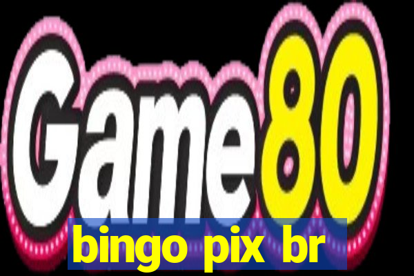 bingo pix br