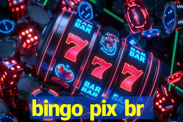 bingo pix br