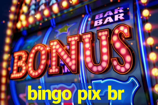 bingo pix br