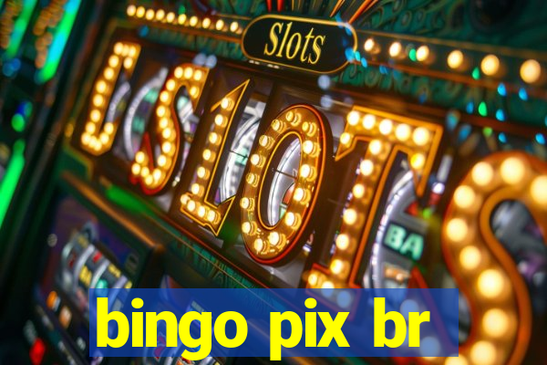 bingo pix br