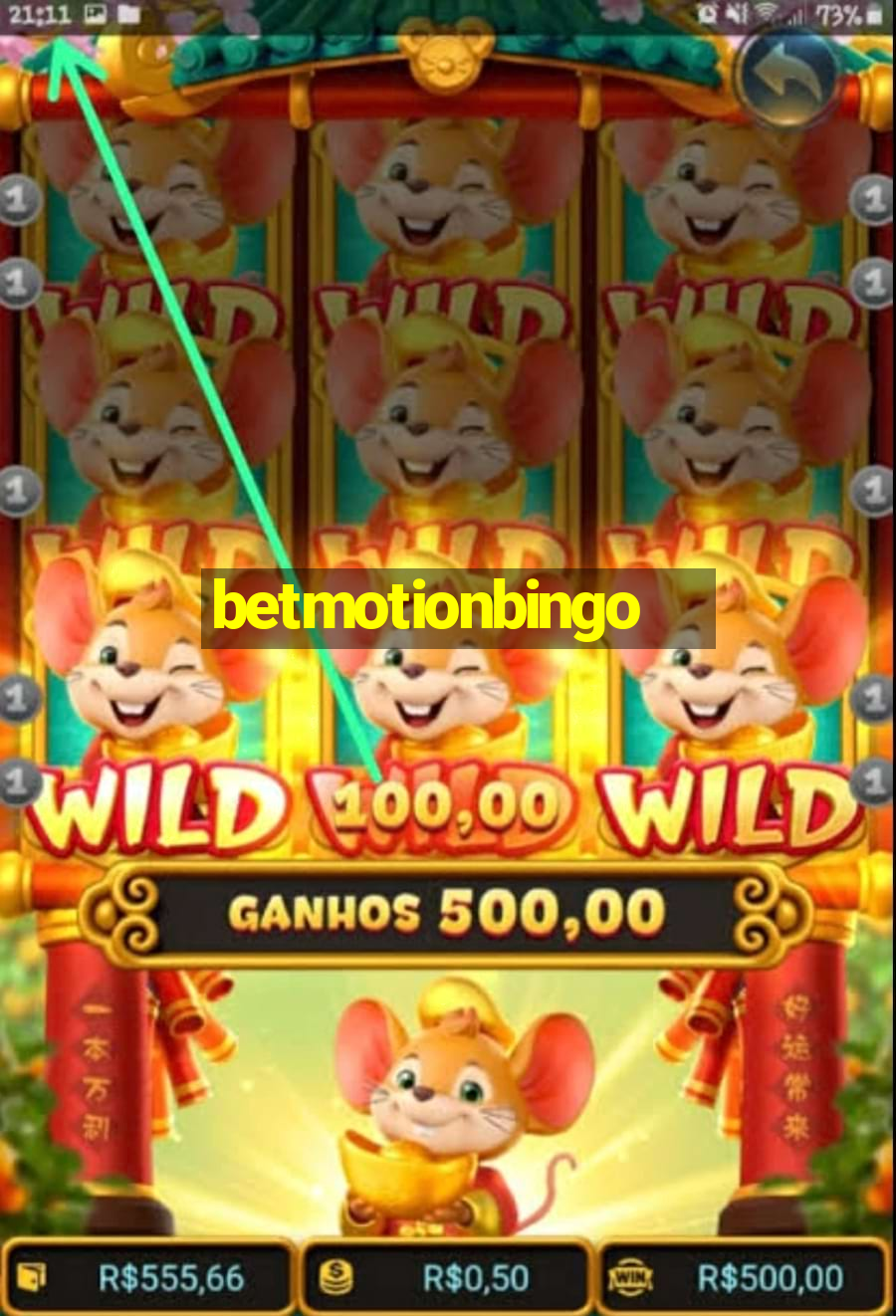 betmotionbingo