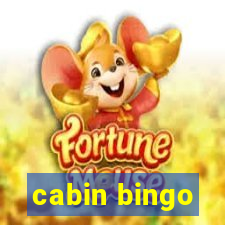 cabin bingo