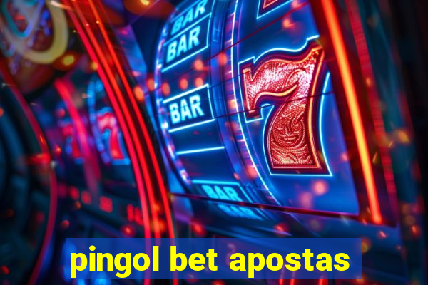 pingol bet apostas