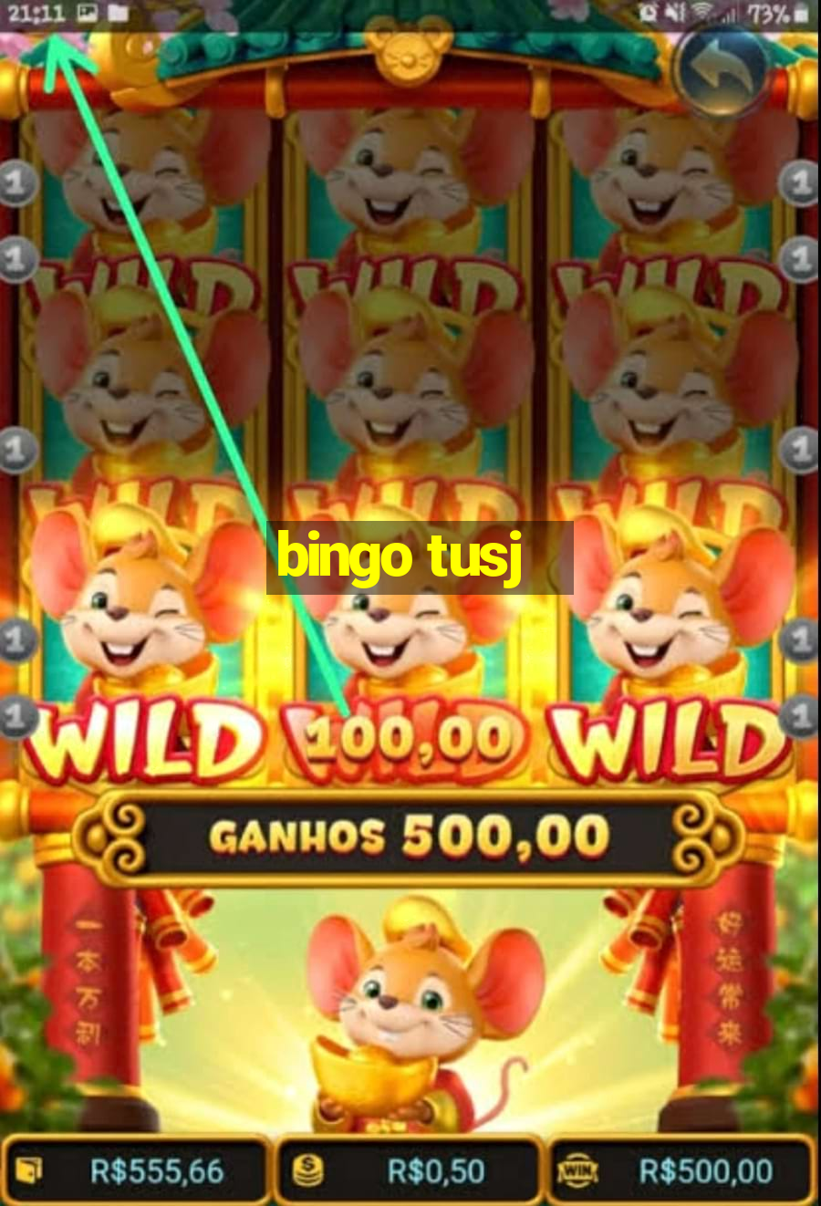 bingo tusj