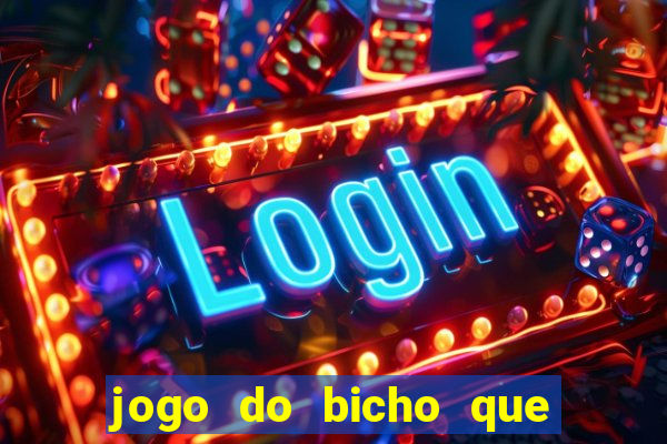 jogo do bicho que da dinheiro