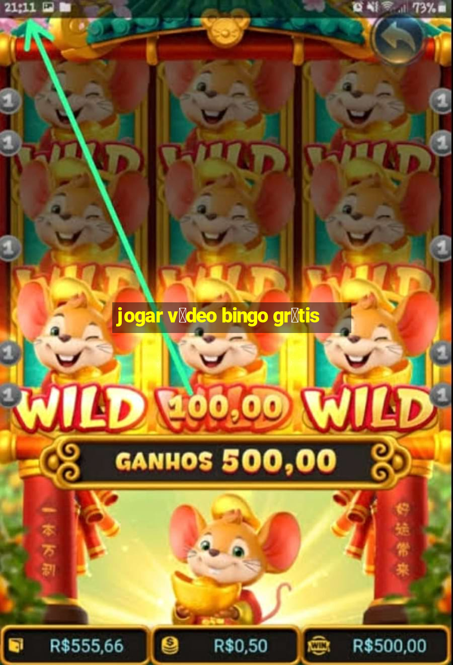 jogar v铆deo bingo gr谩tis