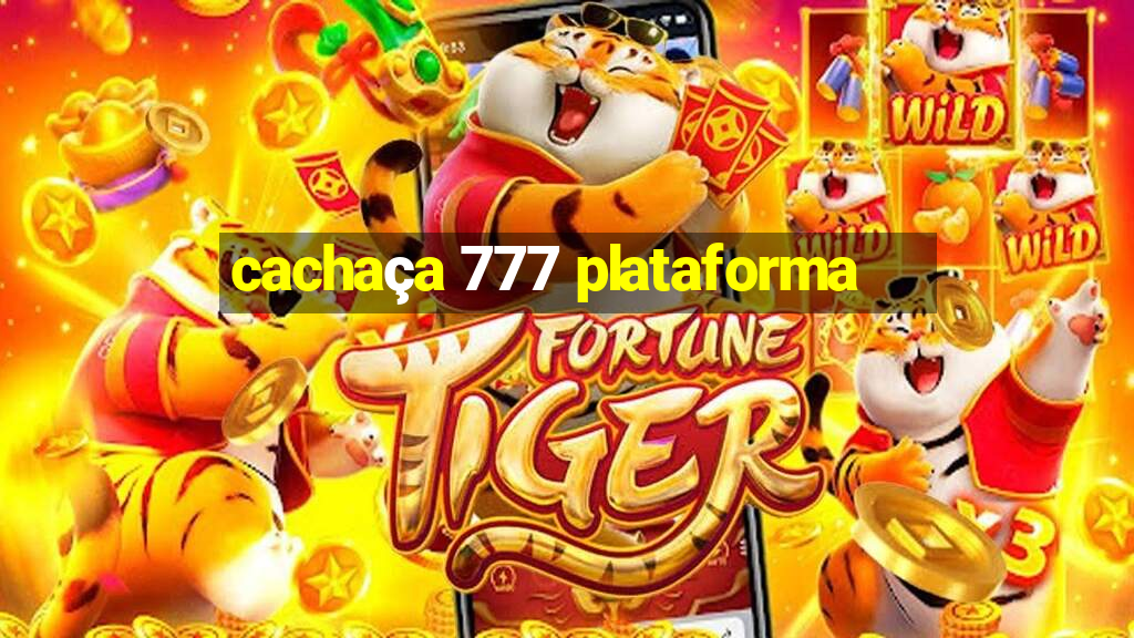 cachaça 777 plataforma