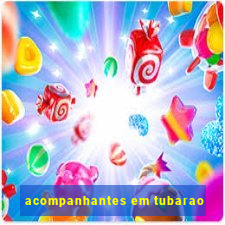 acompanhantes em tubarao