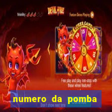 numero da pomba jogo do bicho