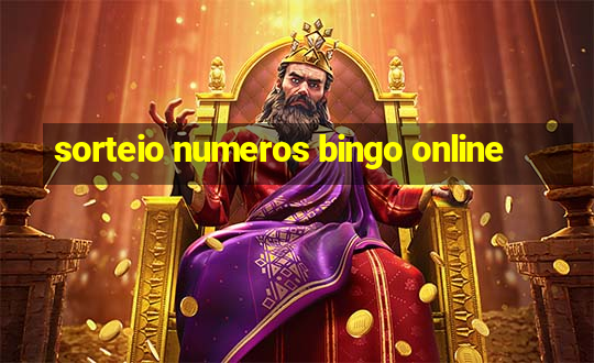 sorteio numeros bingo online