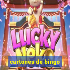 cartones de bingo