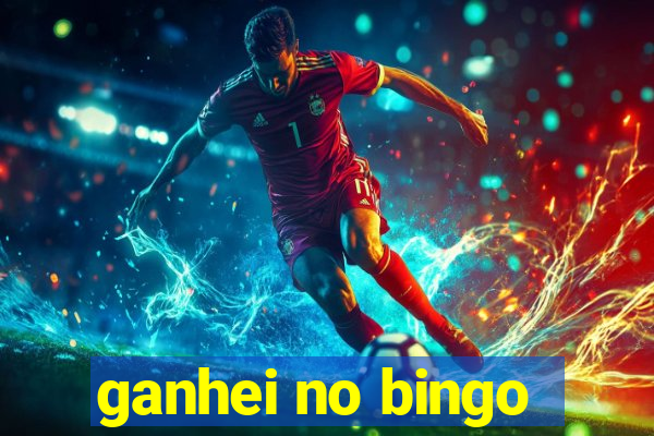 ganhei no bingo