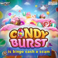 is bingo cash a scam