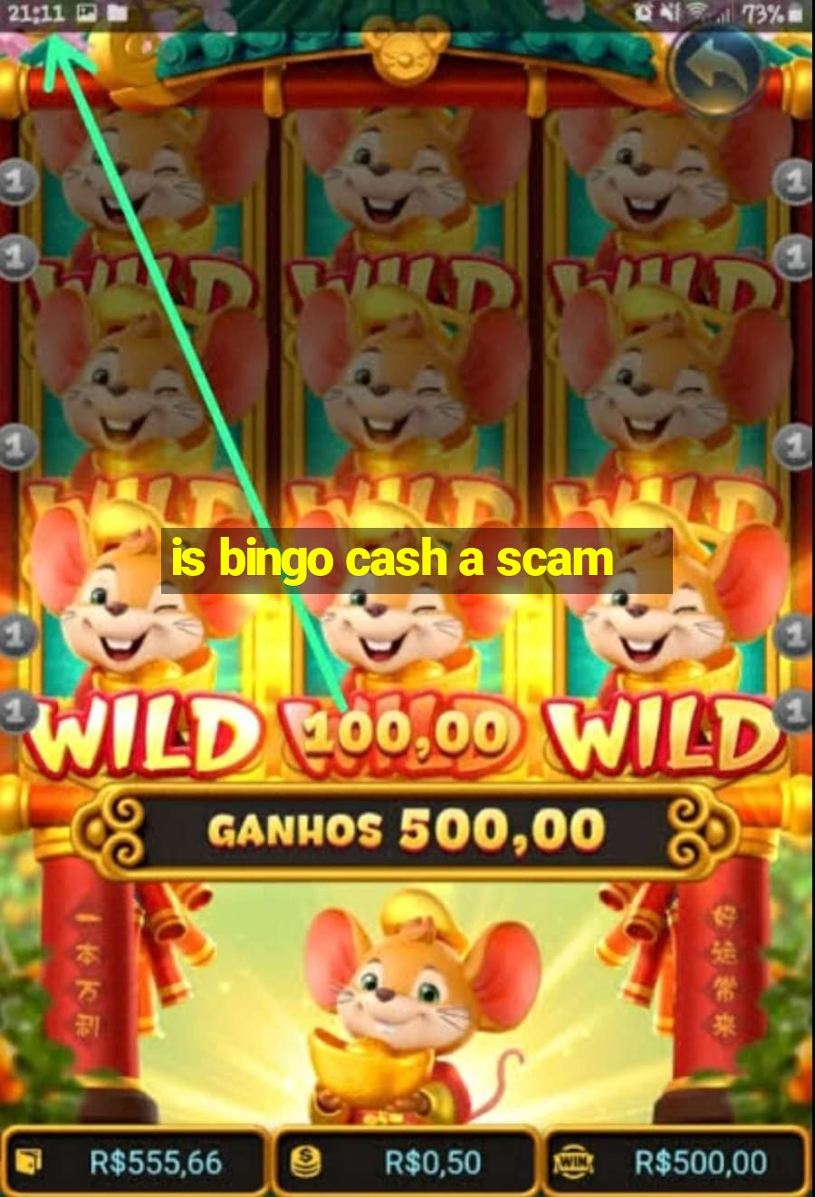 is bingo cash a scam