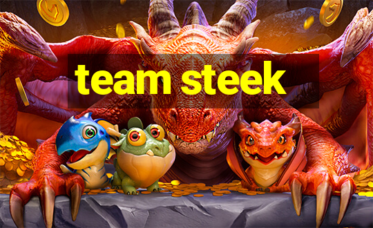 team steek