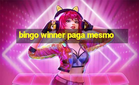 bingo winner paga mesmo