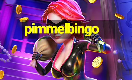 pimmelbingo