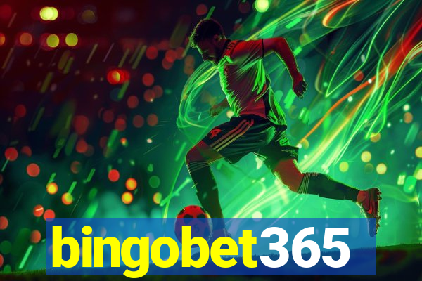 bingobet365