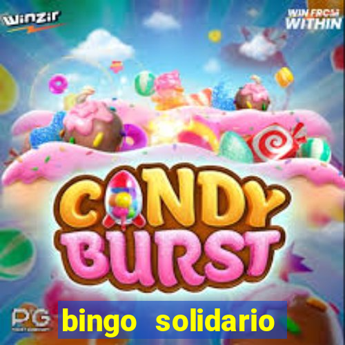 bingo solidario como organizar