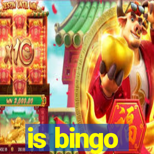 is bingo