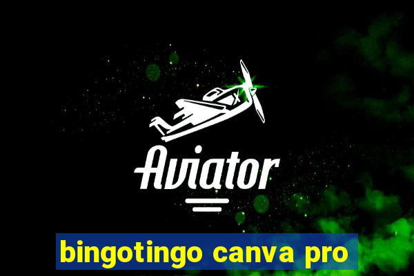 bingotingo canva pro