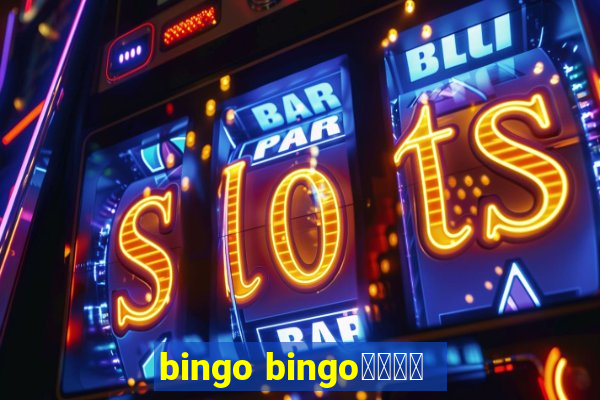 bingo bingo線上投注