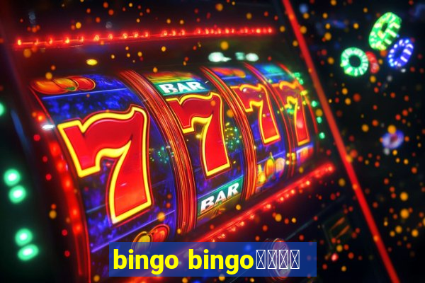 bingo bingo線上投注