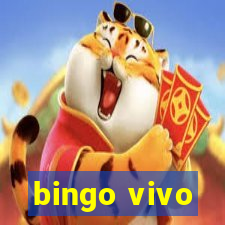 bingo vivo