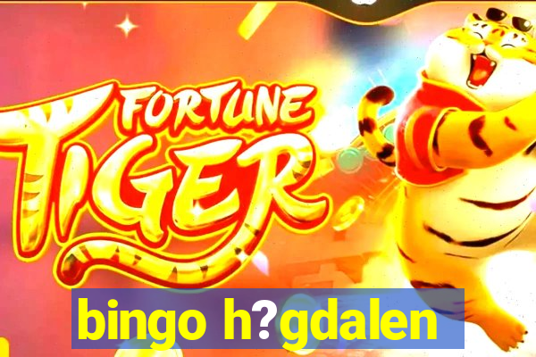 bingo h?gdalen