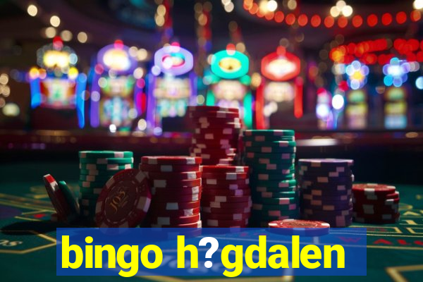 bingo h?gdalen