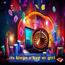 is bingo a boy or girl