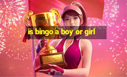 is bingo a boy or girl