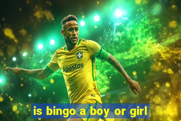 is bingo a boy or girl