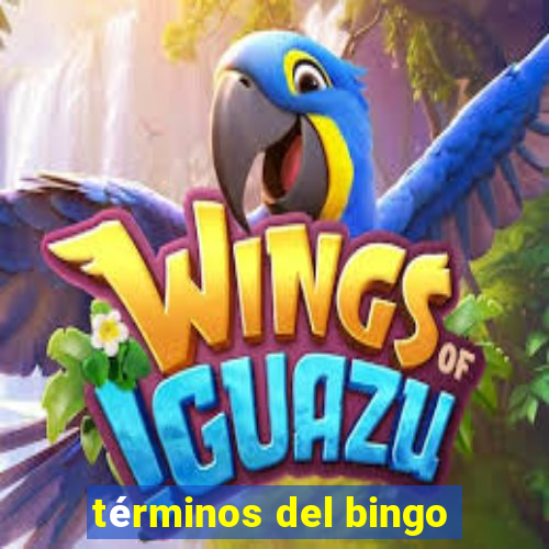 términos del bingo