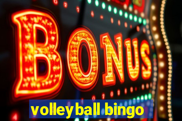 volleyball bingo