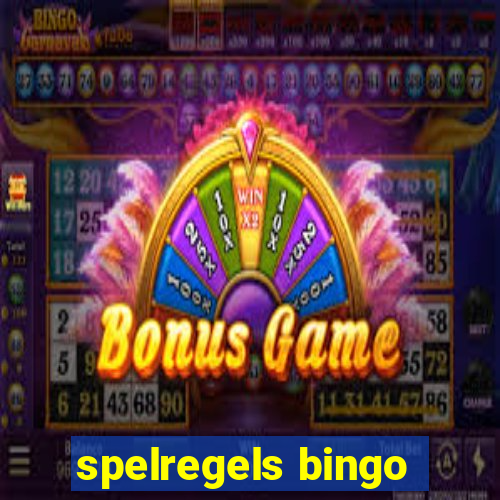 spelregels bingo