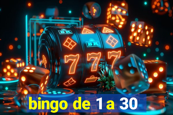 bingo de 1 a 30