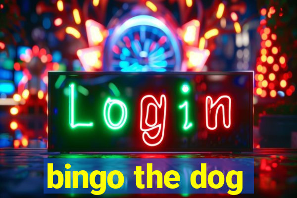 bingo the dog