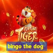 bingo the dog