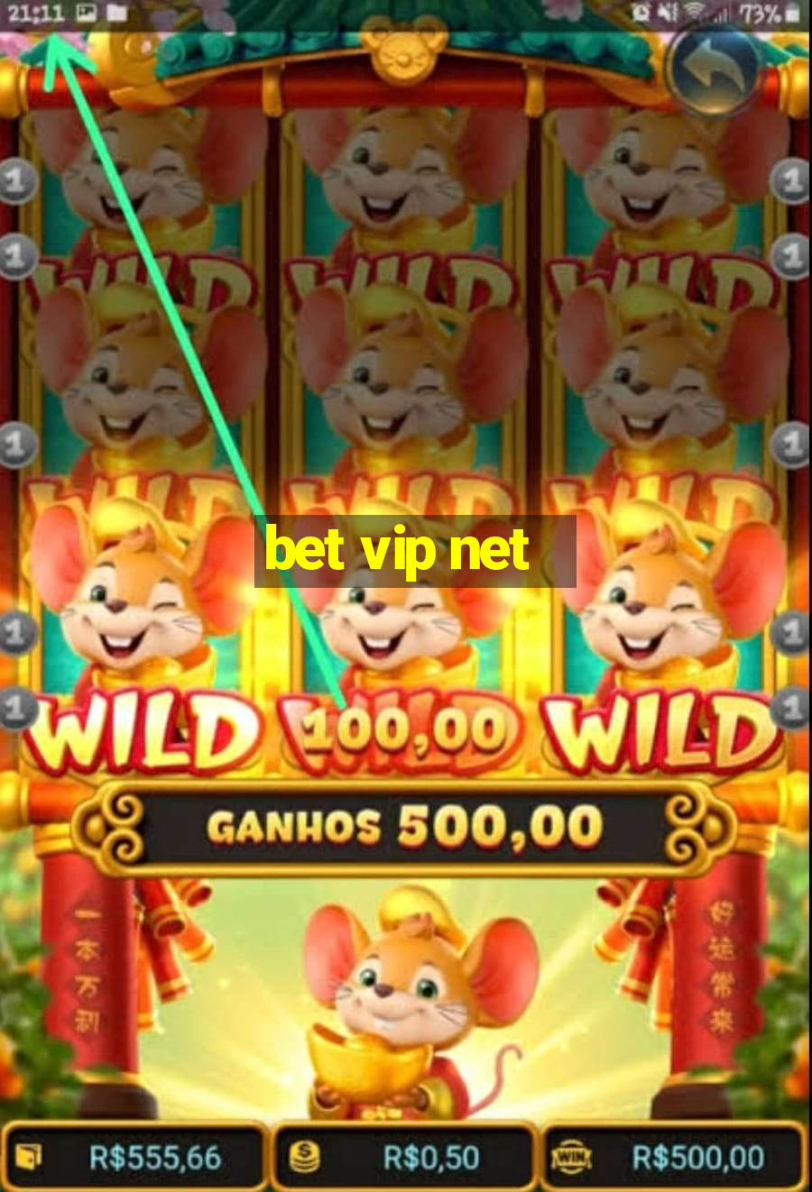 bet vip net