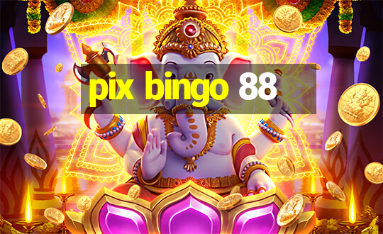 pix bingo 88