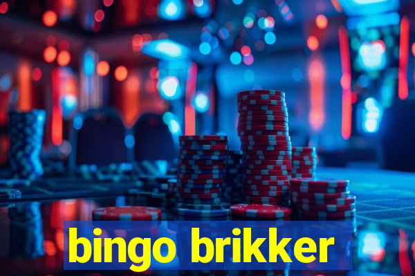 bingo brikker