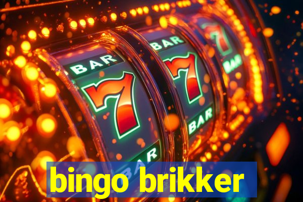 bingo brikker