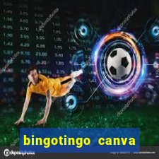 bingotingo canva pro gratis