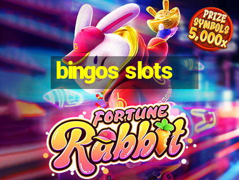 bingos slots